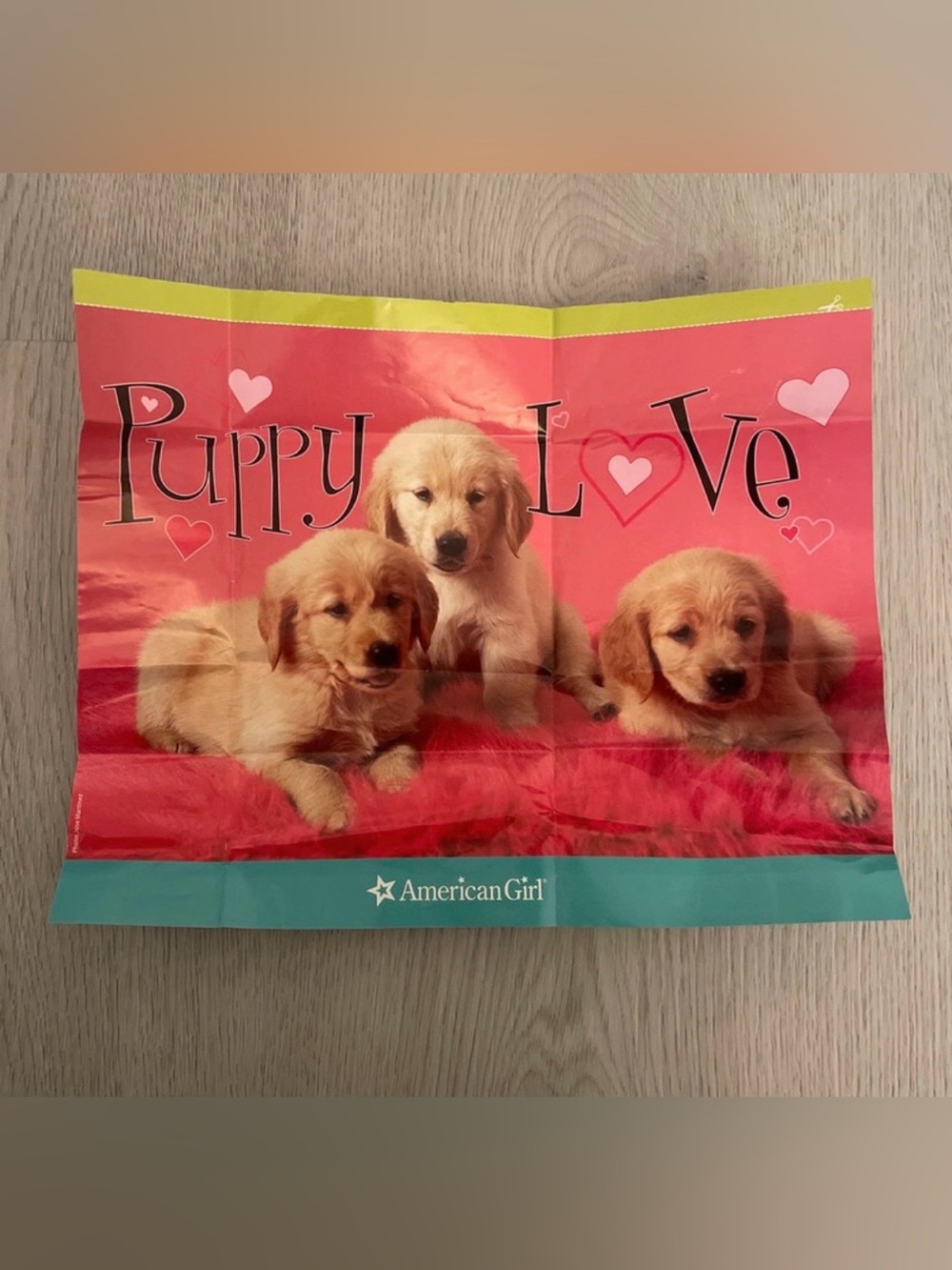 American Girl magazine cutout of puppies and kitten